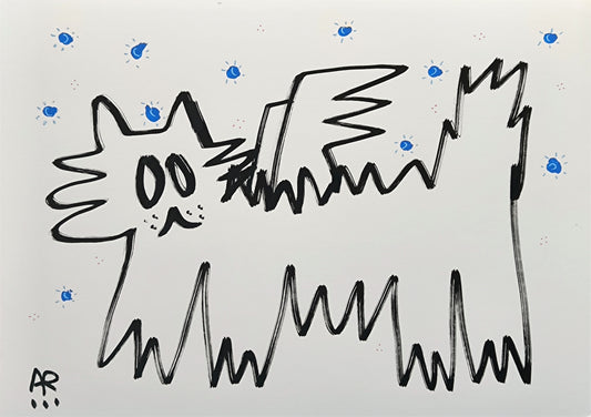 ANGEL CAT